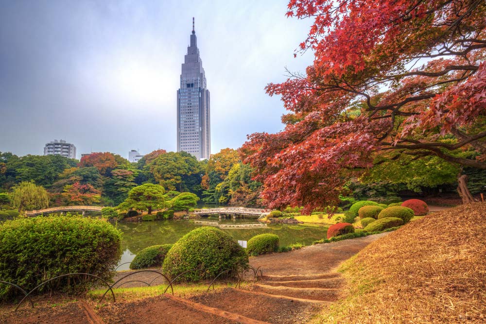 Mrakodrap NTT Docomo Yoyogi čnící nad japonskou zahradou s podzimně zbarvenými javory a jezírkem