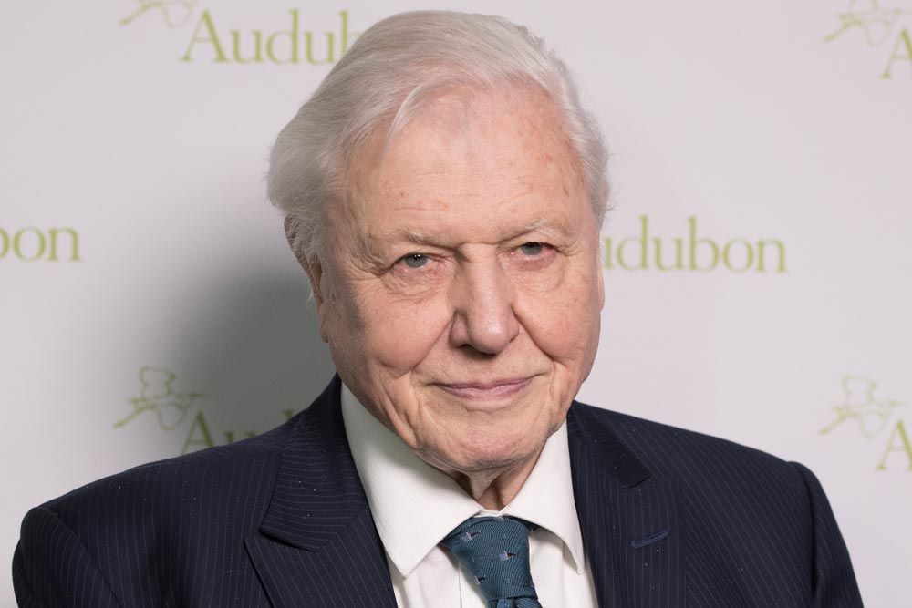 David Attenborough, starší muž v tmavomodrém proužkovaném obleku, v pozadí nápis Audubon